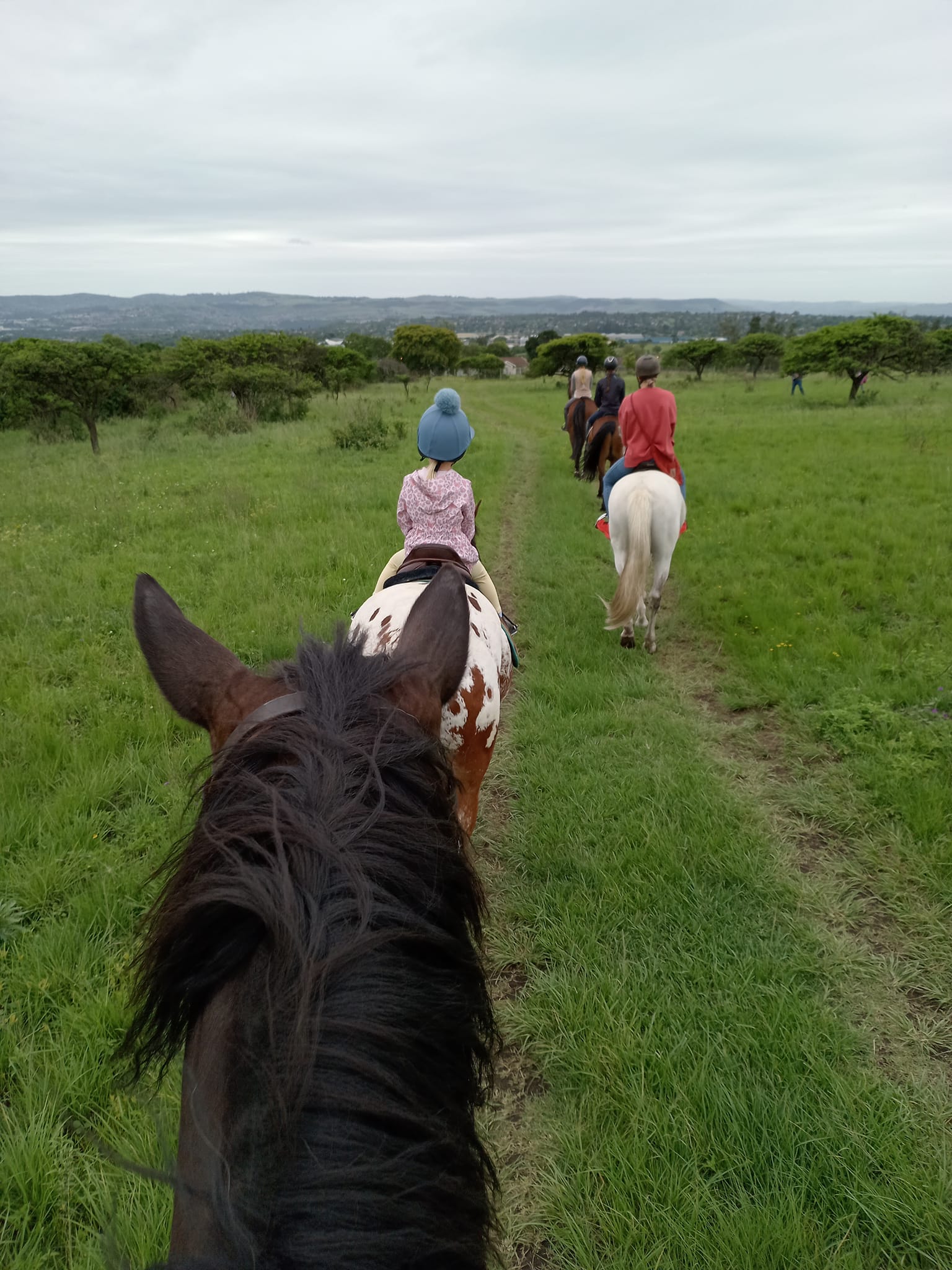 Canterbury Equestrian Centre