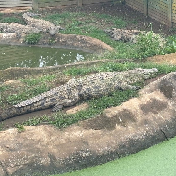 PheZulu Safari Park